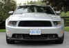 Stang-page.jpg (12876 bytes)