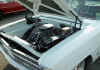 White-Nova-1.jpg (109183 bytes)